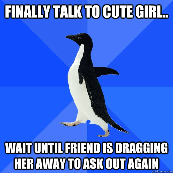 Finally talk to cute girl.. Wait until friend is dragging her away to ask out again  Socially Awkward Penguin