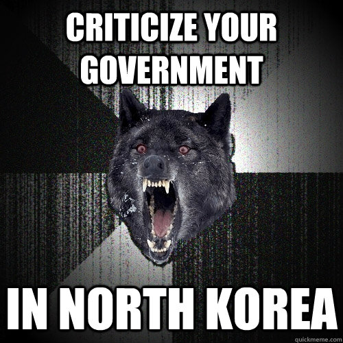Criticize your government In North korea  Insanity Wolf