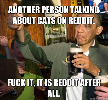 Another person talking about cats on reddit. Fuck it, it is reddit after all.  Upvote Obama