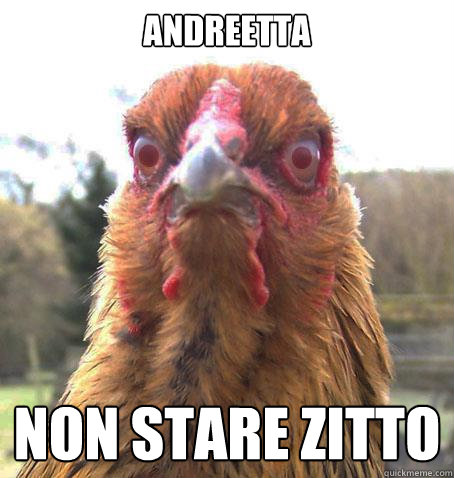 andreetta non stare zitto  RageChicken