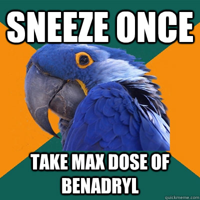 sneeze once take max dose of benadryl  Paranoid Parrot