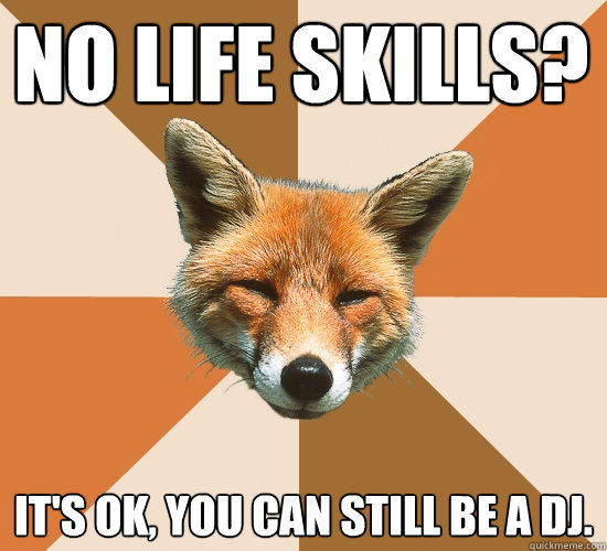 No Life Skills? It's OK, you can still be a DJ.  Condescending Fox