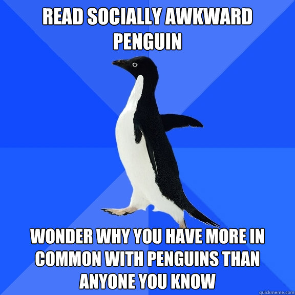 Read Socially awkward penguin wonder why you have more in common with penguins than anyone you know  Socially Awkward Penguin