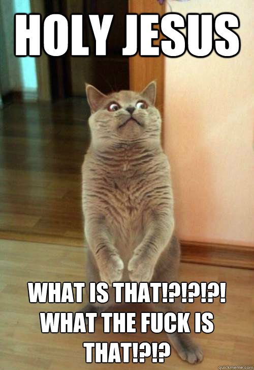 HOLY JESUS WHAT IS THAT!?!?!?! WHAT THE FUCK IS THAT!?!?   Horrorcat