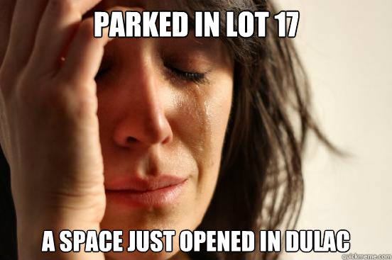parked in lot 17 a space just opened in Dulac  First World Problems