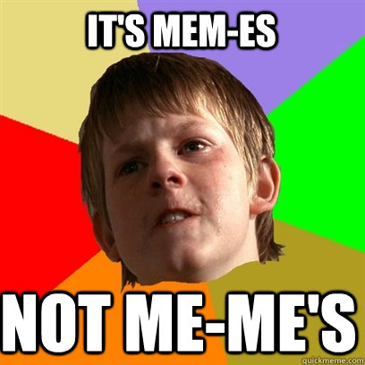 It's Mem-es not me-me's  Angry School Boy