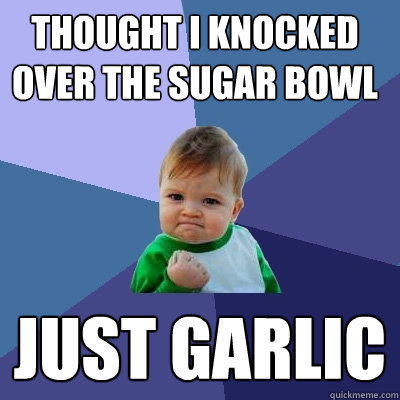Thought I knocked over the sugar bowl just garlic - Thought I knocked over the sugar bowl just garlic  Success Kid