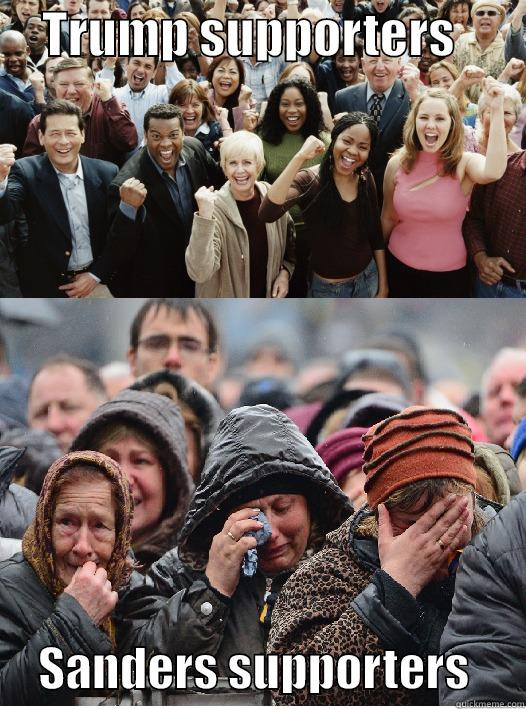     TRUMP SUPPORTERS             SANDERS SUPPORTERS      Misc