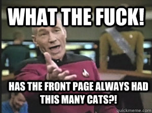 What the fuck! Has the front page always had this many cats?!  Annoyed Picard