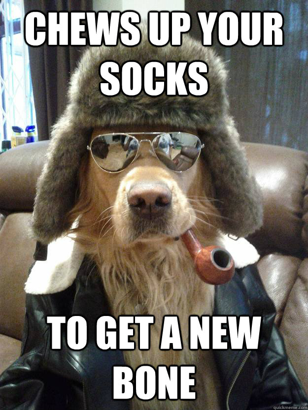 Chews up your socks To get a new bone  Overly Suave Dog