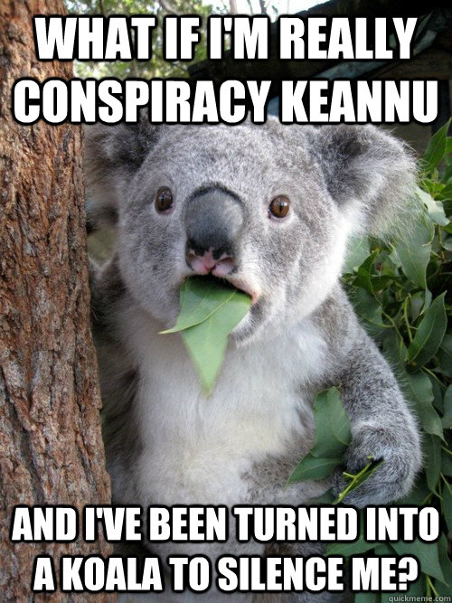 What if I'm really conspiracy keannu And I've been turned into a koala to silence me?  Koala