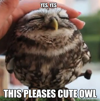 YES, yes THis pleases cute owl  