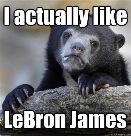 I actually like  LeBron James  Confession Bear
