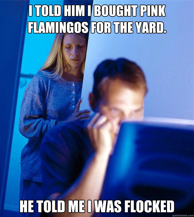 I told him I bought pink flamingos for the yard. He told me i was flocked - I told him I bought pink flamingos for the yard. He told me i was flocked  Redditors Wife