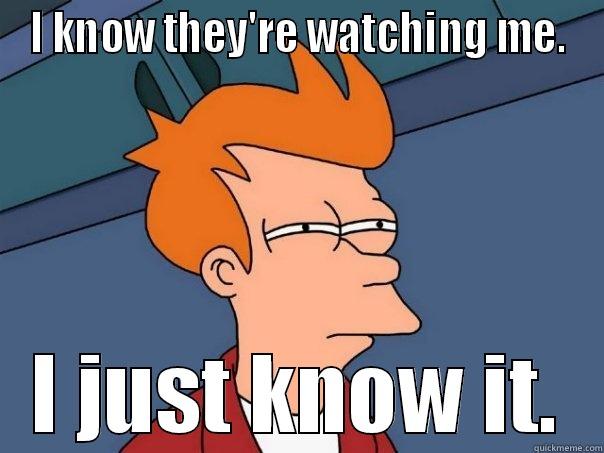 I KNOW THEY'RE WATCHING ME. I JUST KNOW IT. Futurama Fry