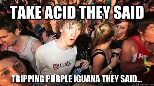 Take acid they said tripping purple iguana they said...  Sudden Clarity Clarence