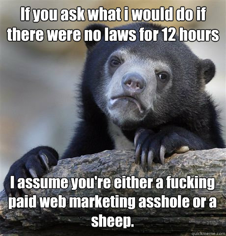If you ask what i would do if there were no laws for 12 hours I assume you're either a fucking paid web marketing asshole or a sheep.  - If you ask what i would do if there were no laws for 12 hours I assume you're either a fucking paid web marketing asshole or a sheep.   Confession Bear