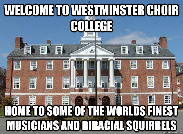 Welcome to Westminster Choir College Home to some of the worlds finest musicians and biracial squirrels   HOME