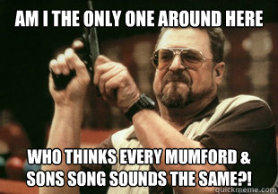 Am I the only one around here who thinks every mumford & sons song sounds the same?!  