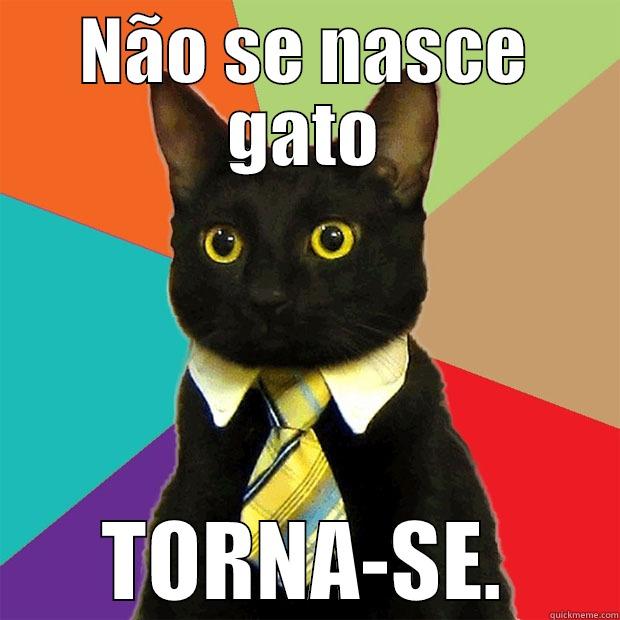 NÃO SE NASCE GATO TORNA-SE. Business Cat