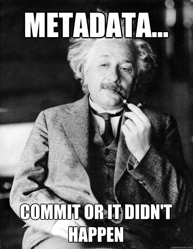 metadata... commit or it didn't happen  Einstein