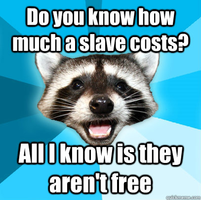 Do you know how much a slave costs? All I know is they aren't free  Lame Pun Coon