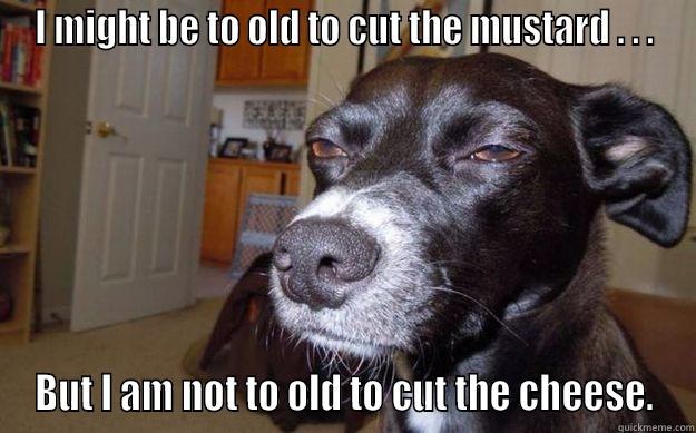 I MIGHT BE TO OLD TO CUT THE MUSTARD . . . BUT I AM NOT TO OLD TO CUT THE CHEESE. Skeptical Mutt