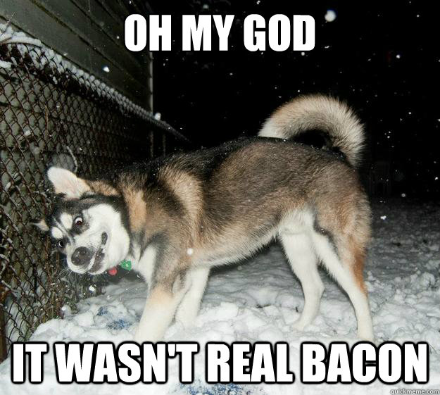 oh my god IT WASN'T real BACON  Sudden Clarity Canine