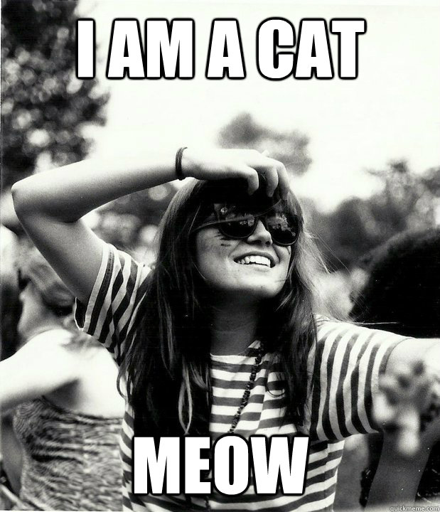 I am a cat Meow  Georgetown Hipster