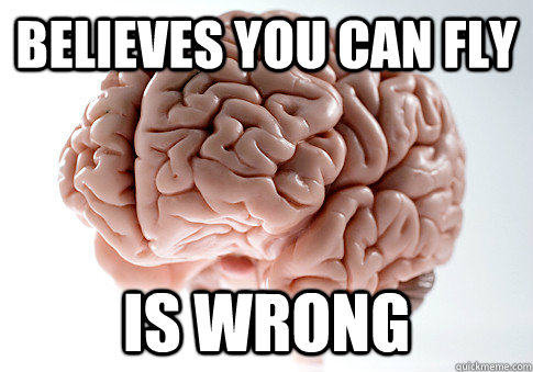 Believes you can fly is wrong  Scumbag Brain
