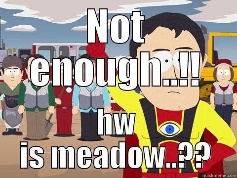 NOT ENOUGH..!! HW IS MEADOW..?? Captain Hindsight