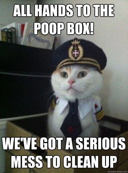 ALL HANDS TO THE POOP BOX! WE'VE GOT A SERIOUS MESS TO CLEAN UP  Captain kitteh
