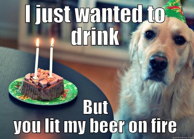 dog drink - I JUST WANTED TO DRINK BUT YOU LIT MY BEER ON FIRE Sad Birthday Dog