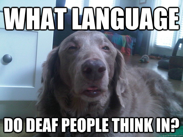 what language do deaf people think in?  10 Dog
