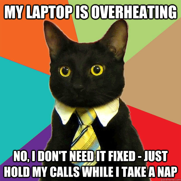 my laptop is overheating no, i don't need it fixed - just hold my calls while i take a nap  Business Cat