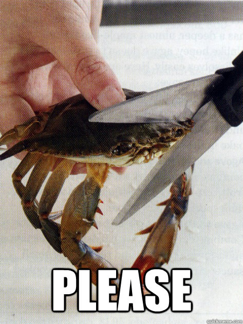  please -  please  Optimistic Crab