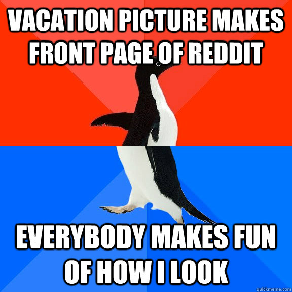 Vacation picture makes front page of reddit Everybody makes fun of how I look  Socially Awesome Awkward Penguin