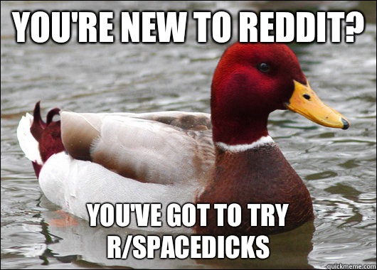 You're new to reddit? You've got to try r/spacedicks   Malicious Advice Mallard