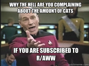 why the hell are you complaining about the amount of cats If you are subscribed to r/aww  Annoyed Picard