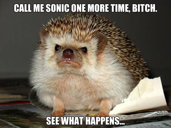 Call me Sonic one more time, Bitch. See what Happens...  Angry Hedgehog