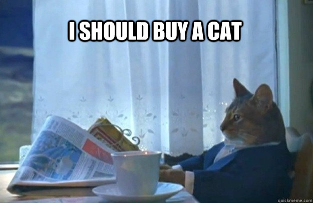 I should buy a cat  Sophisticated Cat