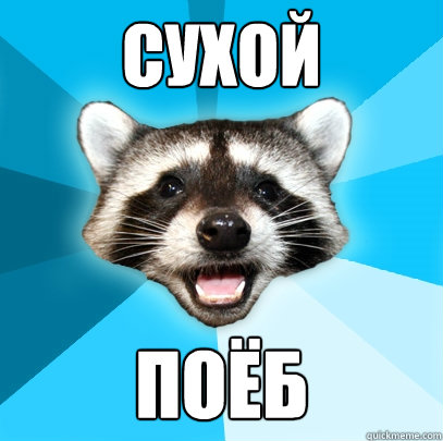 СУХОЙ ПОЁБ  Lame Pun Coon