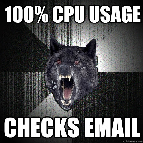 100% CPU Usage Checks email  Insanity Wolf