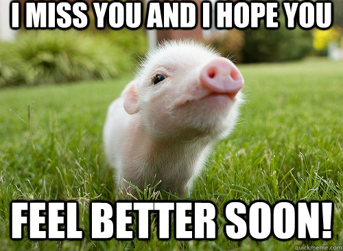 I miss you and I hope you Feel Better Soon! - I miss you and I hope you Feel Better Soon!  baby pig