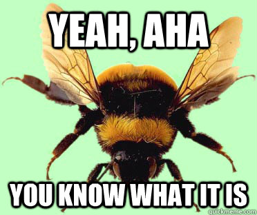 Yeah, Aha You know what it is  Black and yellow