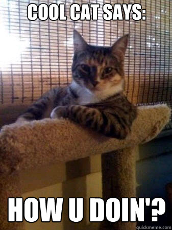 cool cat says: how u doin'?  The Most Interesting Cat in the World