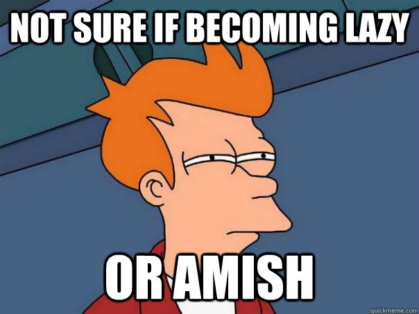 Not sure if becoming lazy or amish  FuturamaFry