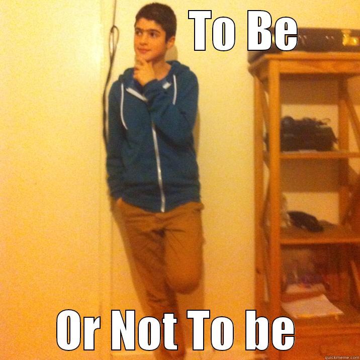                TO BE OR NOT TO BE The Most Interesting Man In The World