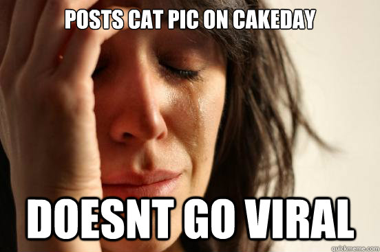 Posts cat pic on cakeday Doesnt go viral  First World Problems