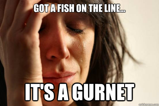 Got a fish on the line... It's a gurnet  First World Problems